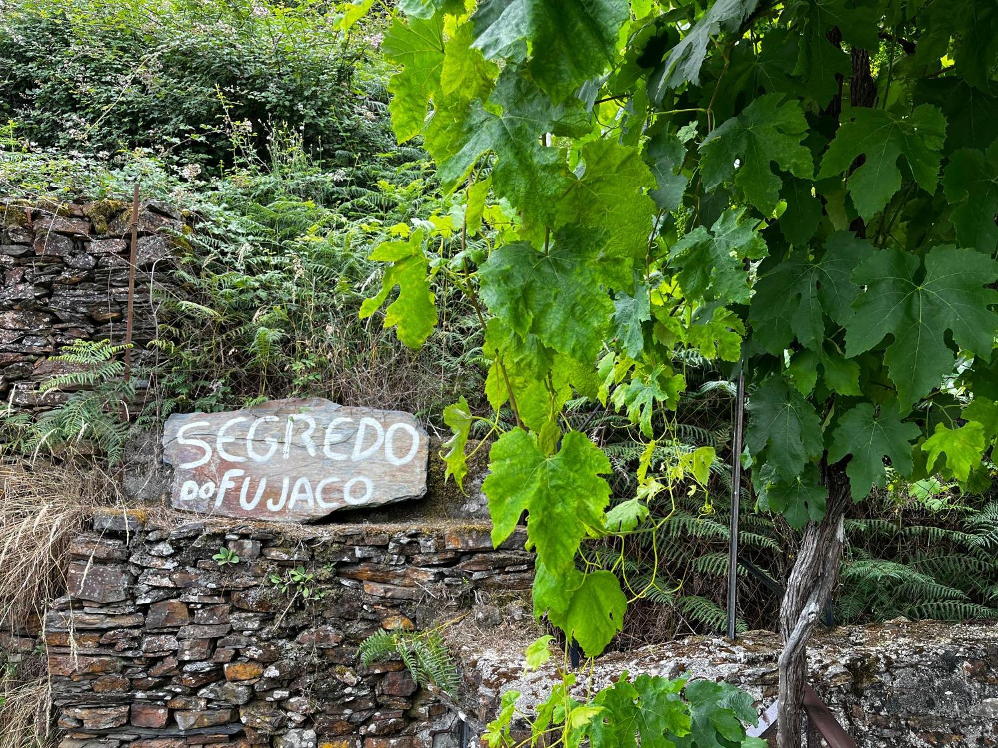 O Segredo Do Fujaco Villa São Pedro do Sul Dış mekan fotoğraf